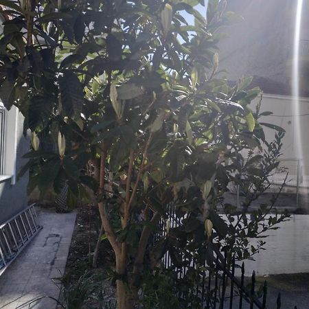 Agelikis' Apartments Nea Kallikrateia Exteriér fotografie